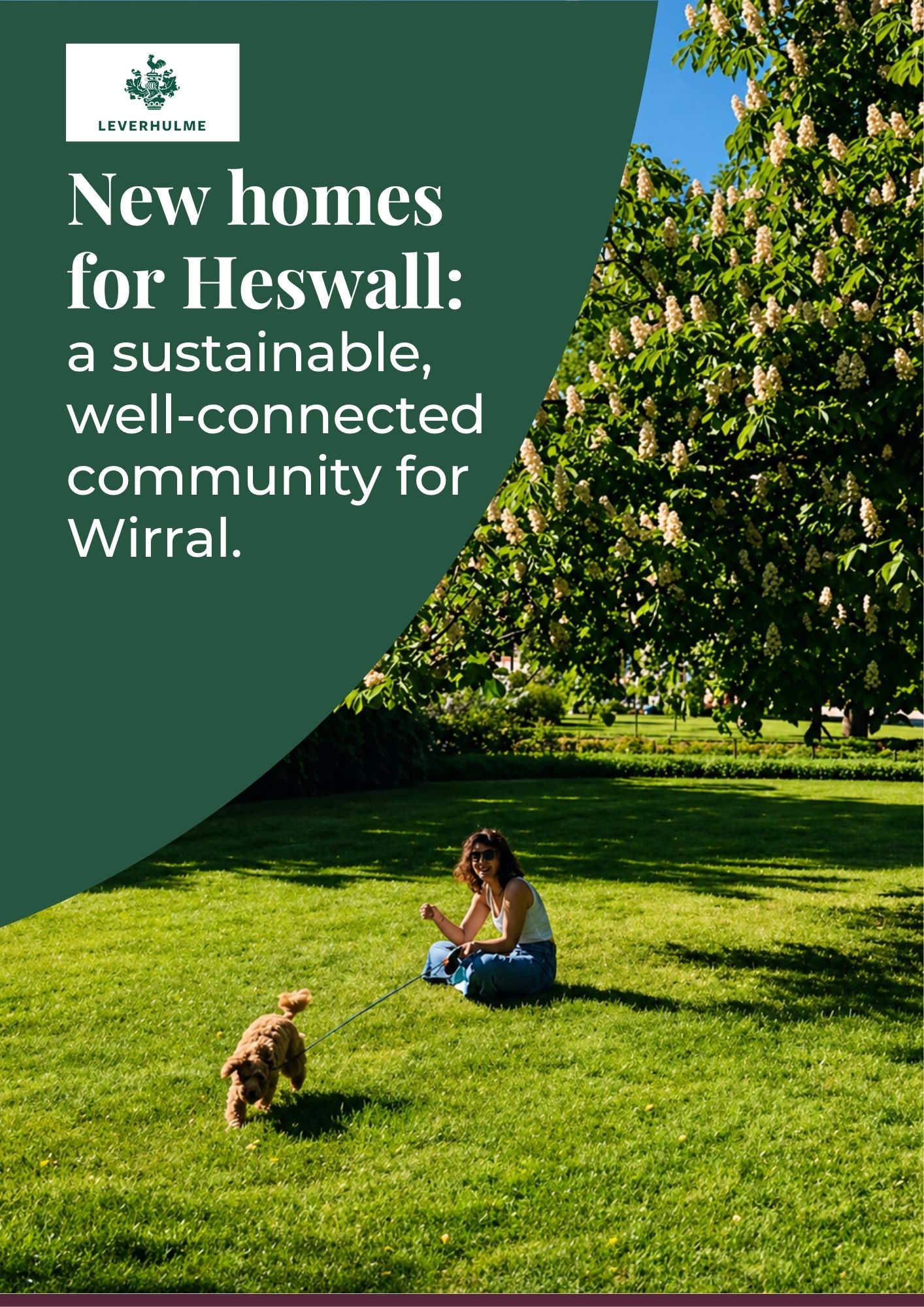 Heswall Consultation Brochure cover