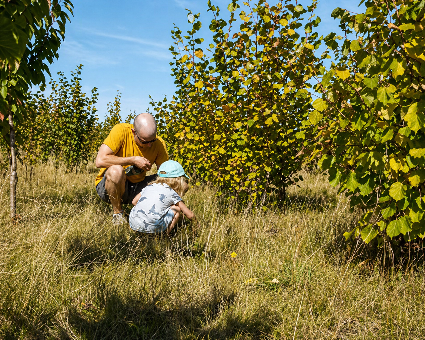 Heswall — aerial view of the site